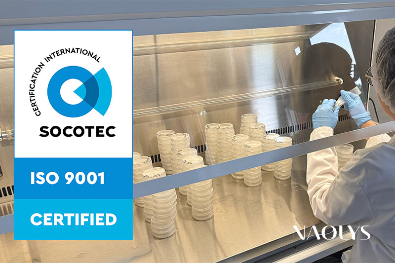 Naolys earns ISO 9001:2015 certification