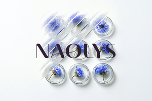 Naolys unveils new identity to reflect its values and vision