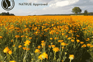 NATRUE approval of FLAVEX's CO2 extracts