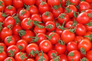 Natural Sourcing offers tomato seed oil 