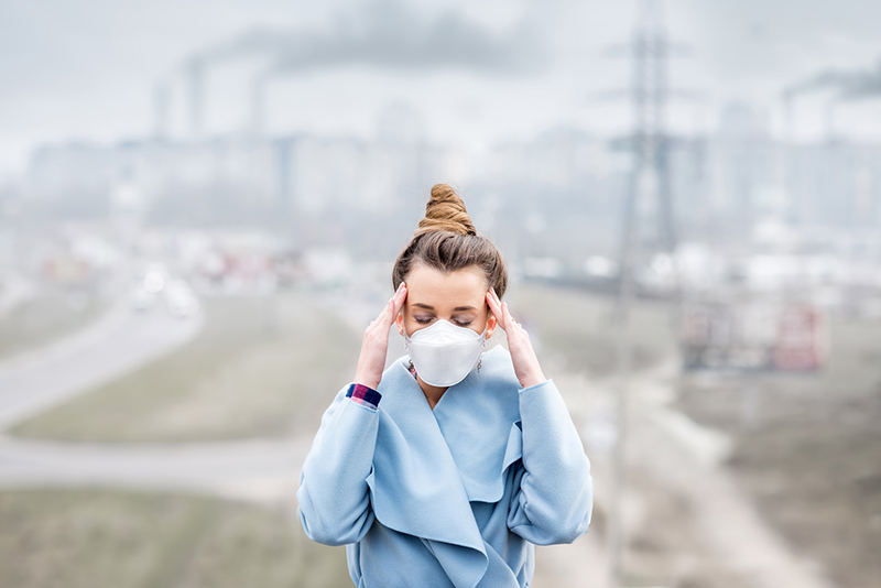 New anti-pollution in vivo and in vitro tests