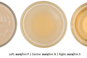 New aurafirm data to debut at SCS Formulate 2019
