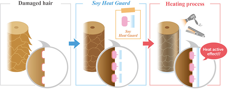 New ingredient for hair: Soy Heat Guard, Promois WS-HSIGPD