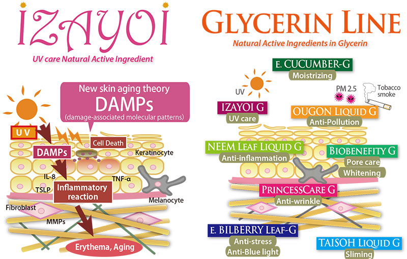 New Sun care and Glycerin Natural Active Line