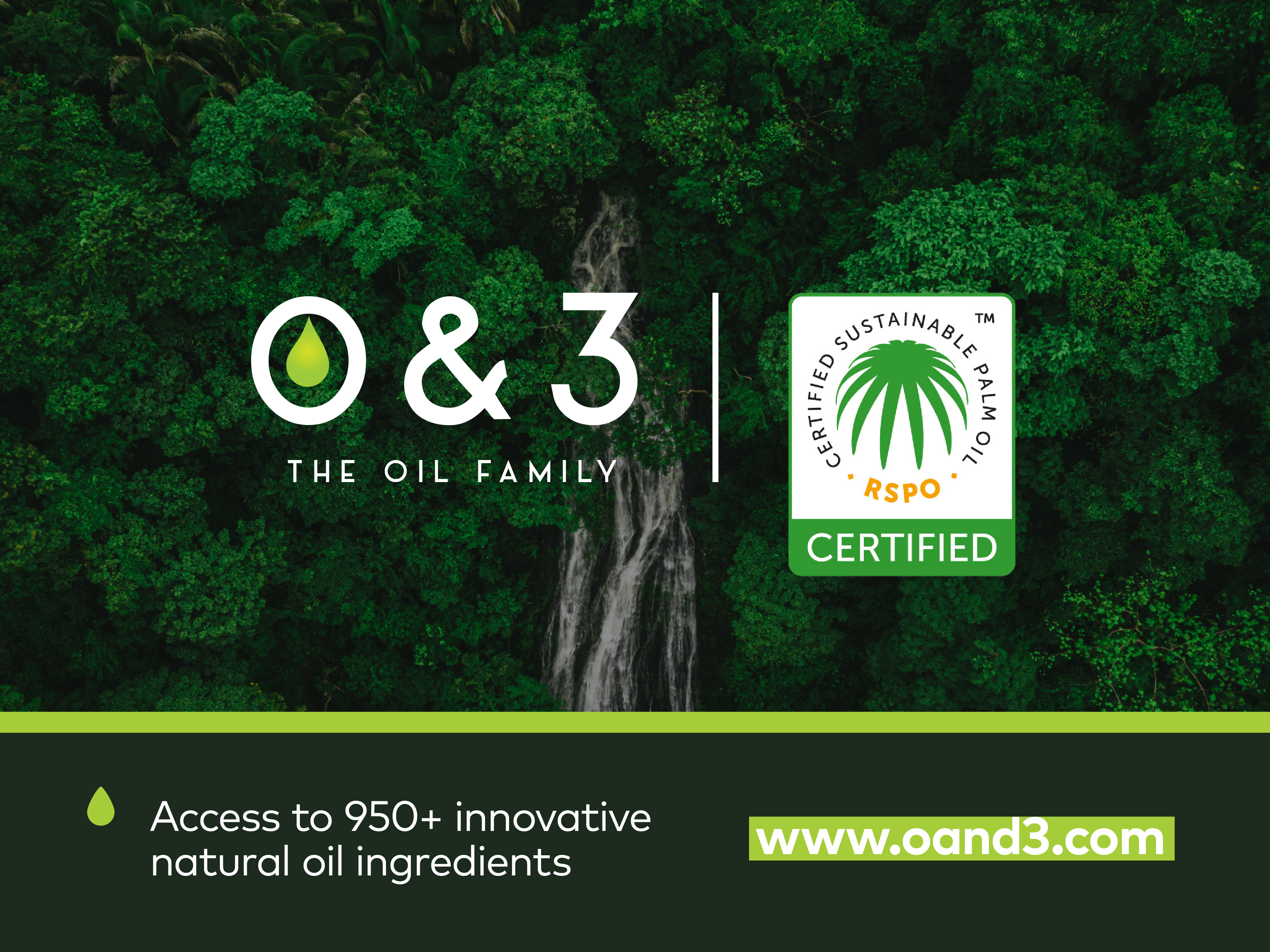 O&3 joins the RSPO community - Joining hands for a sustainable future