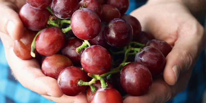 Organic beauty market flourishes with sales of over £147m in 2022