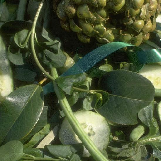Organic farming can tackle climate change