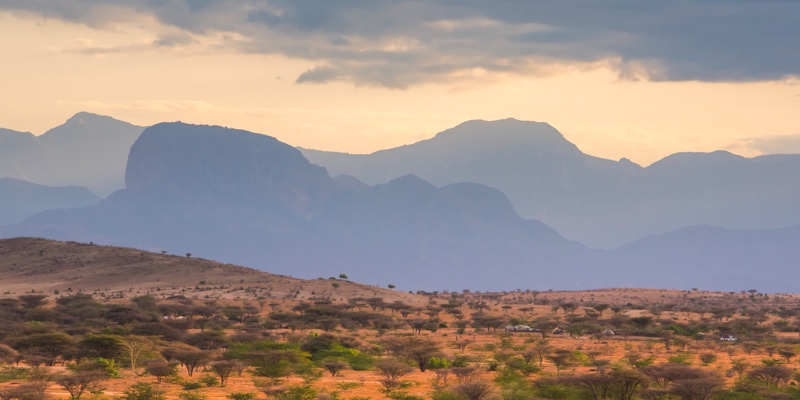 Out of Africa: The continent that's home to beauty's favourite ingredients
