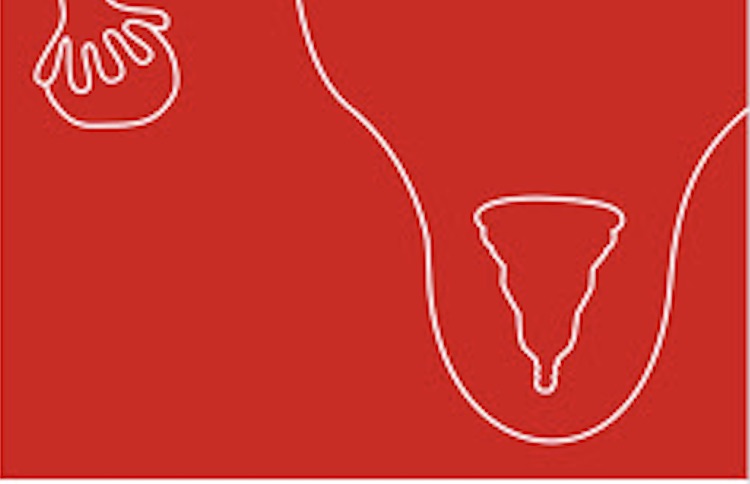 Pantone releases 'dynamic' Period red to normalise menstruation in partnership with Intimina brand