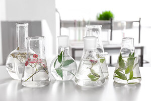 Plant bioactives, combining tradition with technology
