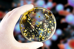 Proactive quality systems that reduce risk