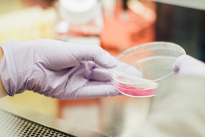 Rare bacteria present new skin care opportunities