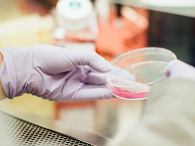 Rare bacteria present new skin care opportunities