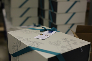 Revolution Beauty awards contract to Cygnia Logistics 