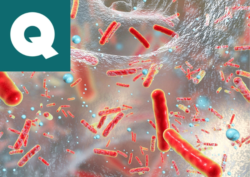 Revolutionise the cosmetic industry: embrace Quorum Quenching Analysis for superior products
