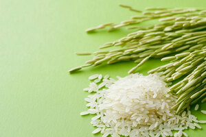 Rice bran wax: a sustainable and superior alternative to montan wax