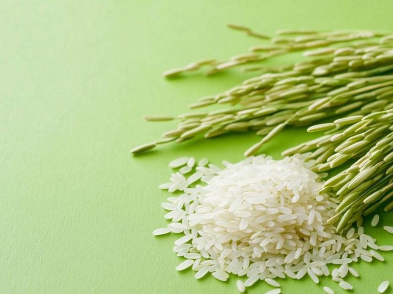 Rice bran wax: a sustainable and superior alternative to montan wax