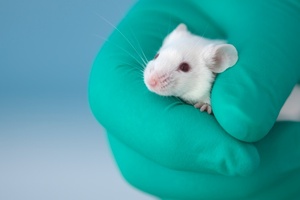 Animal testing: Save Cruelty-Free Cosmetics ECI gets European Parliament hearing