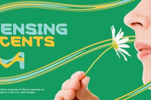 Sensing scents: Olfactory (smell) perception