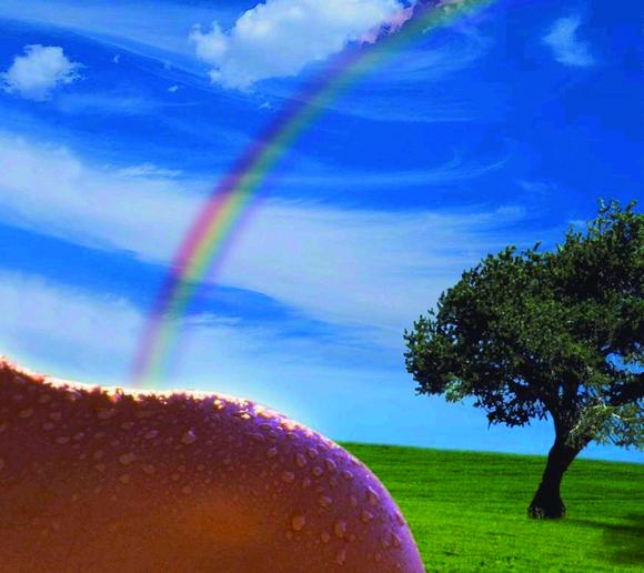 Sisterna® sucrose esters — the natural emulsifiers with many extra benefits