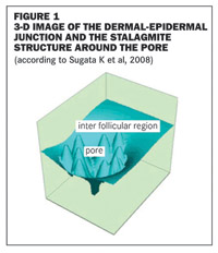 Skin care – The refinement of pores