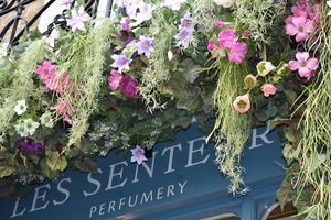 Spring is in the air at Les Senteurs new ‘social worthy’ shop display 
