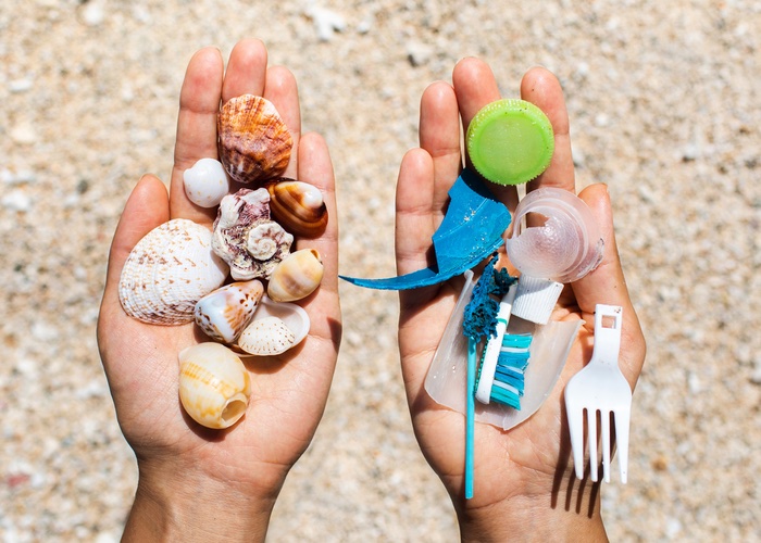 Sustainable packaging solutions: Protecting the planet from plastic pollution 
