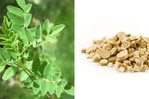 The benefits of traditional Chinese medicine for cosmetics