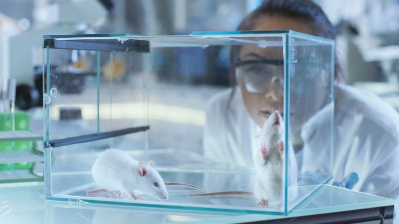 UK unveils plans for faster phase-out of animal testing in science