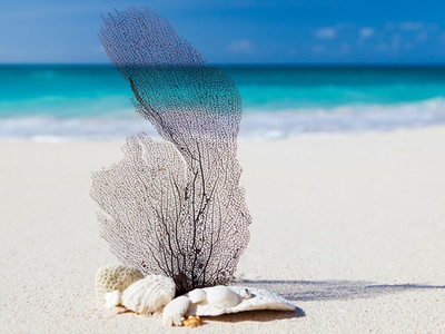 UNEP recommends ban on microplastics