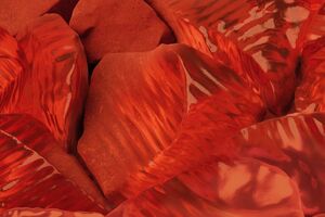 WGSN and Coloro name ‘Radiant Earth’ Colour of the Year 2028