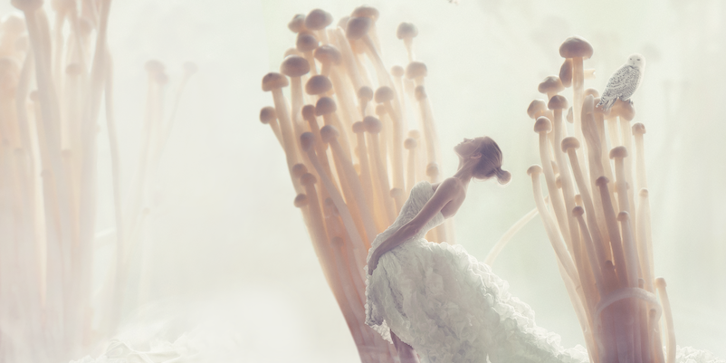 Why mushroom beauty products are here to stay in 2023