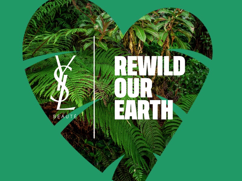 YSL Beauty accelerates global sustainability initiative with new rewilding projects