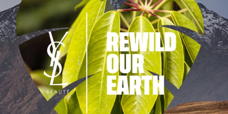 YSL Beauty sets in motion major plans to rewild 4 biodiversity hotspots