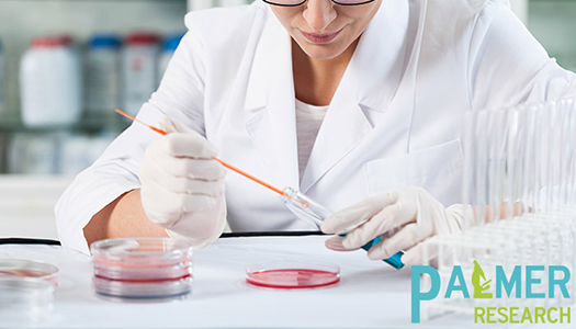 Zein Test finds the irritant potential of a surfactant